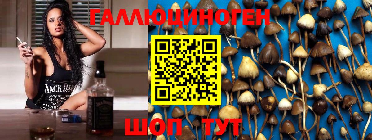 цена   Вход с VPN  Галлюциногенные грибы Psilocybine cubensis  Ялта  Галлюциногенные грибы GOLDEN TEACHER 