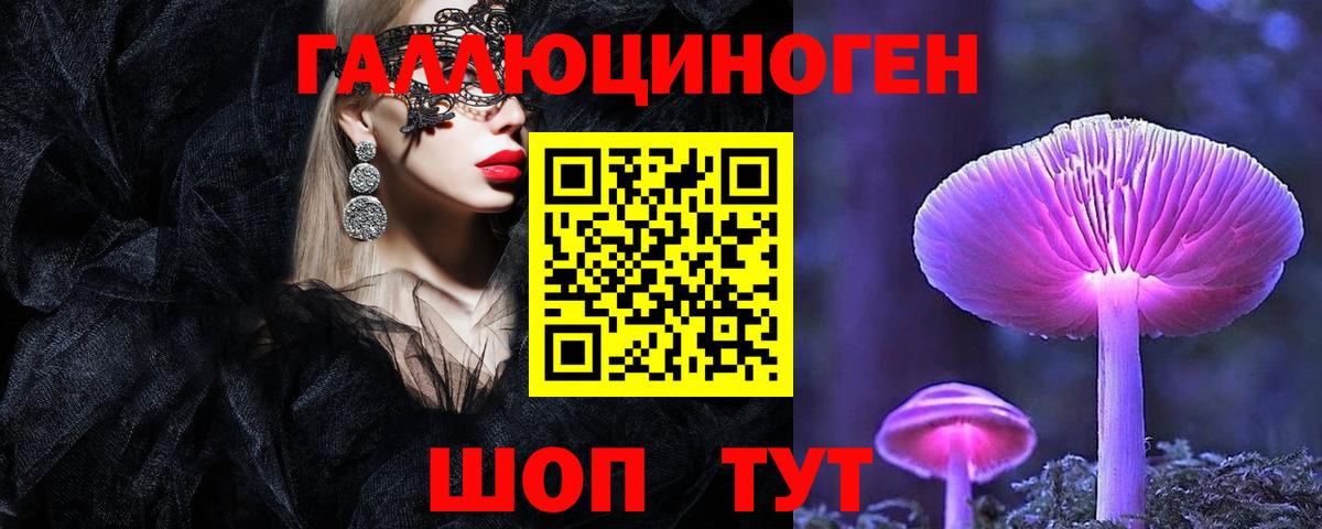 Псилоцибиновые грибы Psilocybine cubensis Ялта